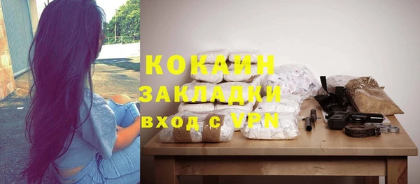 шишки Арсеньев