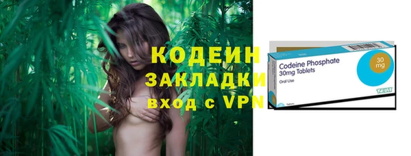 шишки Арсеньев