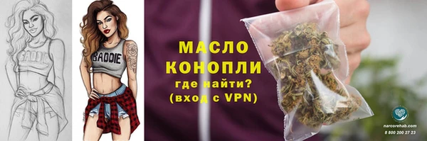 шишки Арсеньев