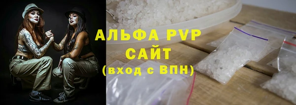 шишки Арсеньев