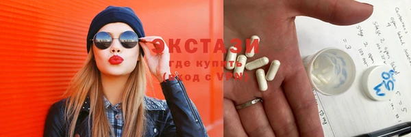 шишки Арсеньев