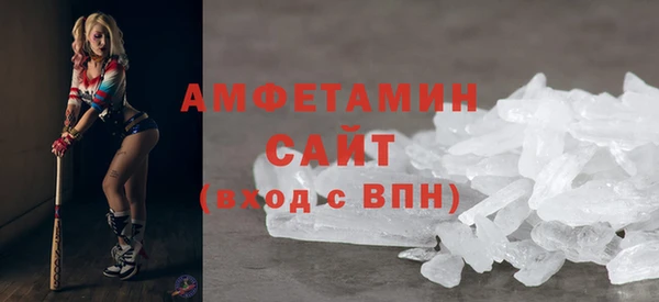 шишки Арсеньев