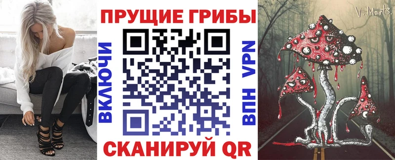Галлюциногенные грибы Cubensis  купить наркотики цена  Скопин 
